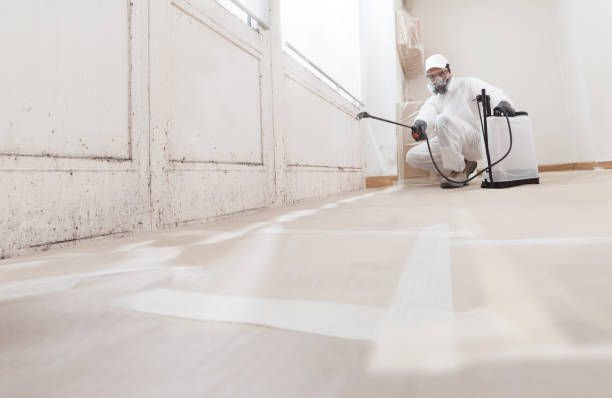 24/7 Emergency Black Mold Removal experts in Manchester, KY