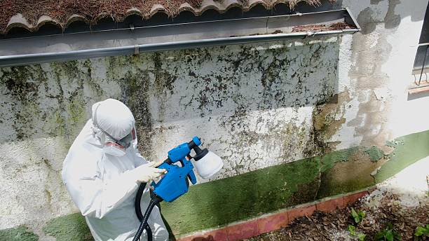 Trusted Crawl Space Mold Removal service in Manchester, KY - Cheap Mold Removal